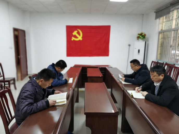 湖南鳥兒巢水電站發電有限公司黨支部正式成立 湖南鳥兒巢水電站發電有限公司黨支部正式成立