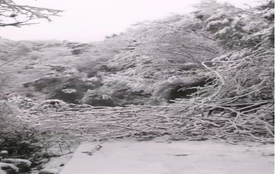 戰暴雪、保供電!湖南發展鳥兒巢公司應對極端天氣緊急搶修失電故障 戰暴雪、保供電!湖南發展鳥兒巢公司應對極端天氣緊急搶修失電故障
