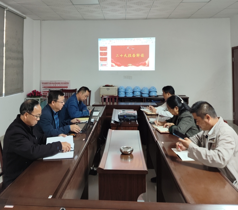 鳥兒巢公司黨支部開展“一課一片一實踐”主題黨日活動 鳥兒巢公司黨支部開展“一課一片一實踐”主題黨日活動